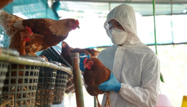 shutterstock_2153619815