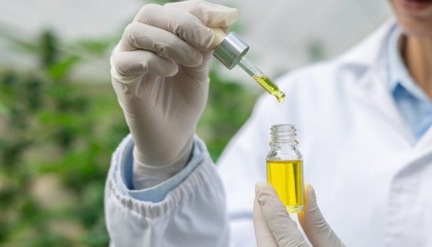 shutterstock_2455376585